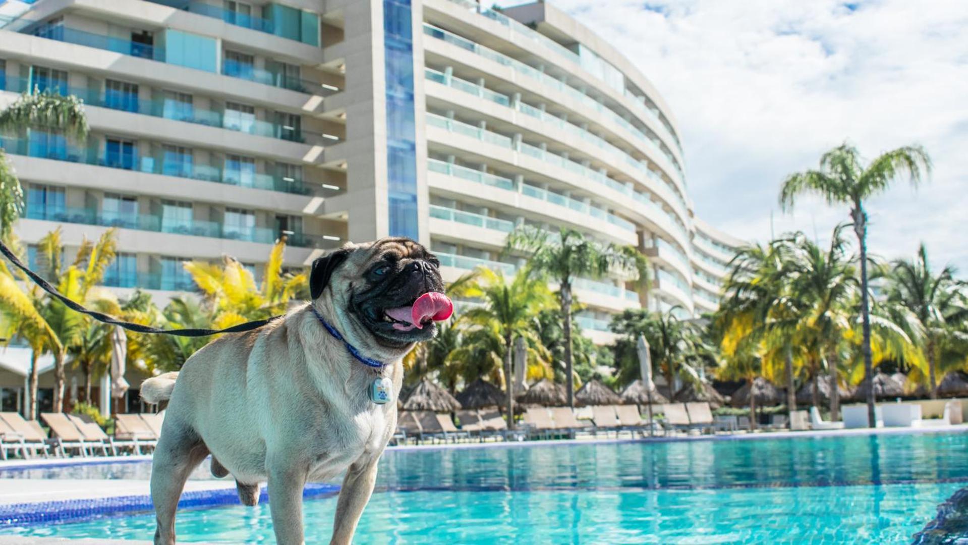 Palacio Mundo Imperial Riviera Diamante Acapulco All Inclusive Esterno foto